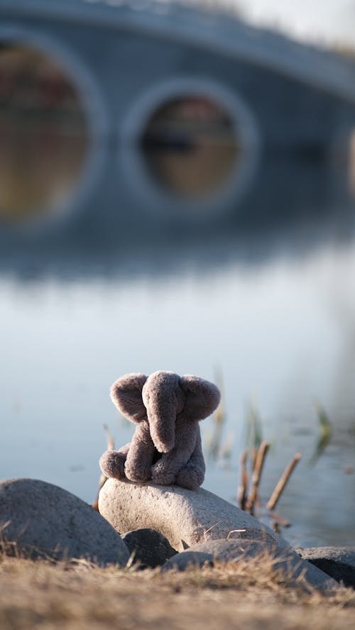 Close Up Photo of Stuff Toy on a Rock