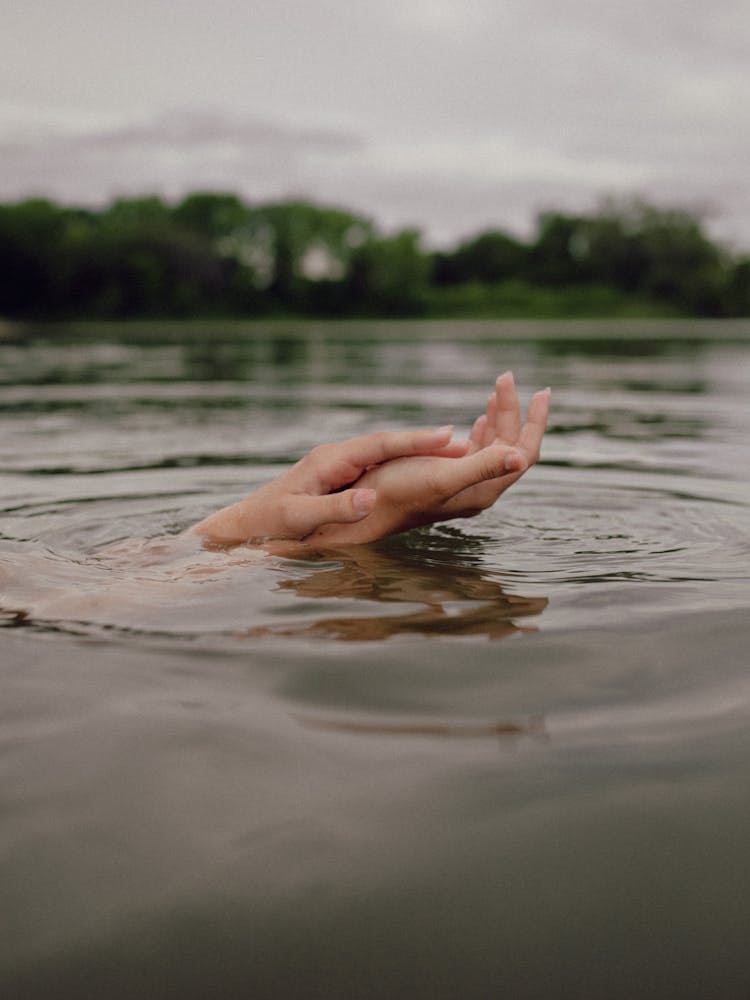 Persons Hands On Water