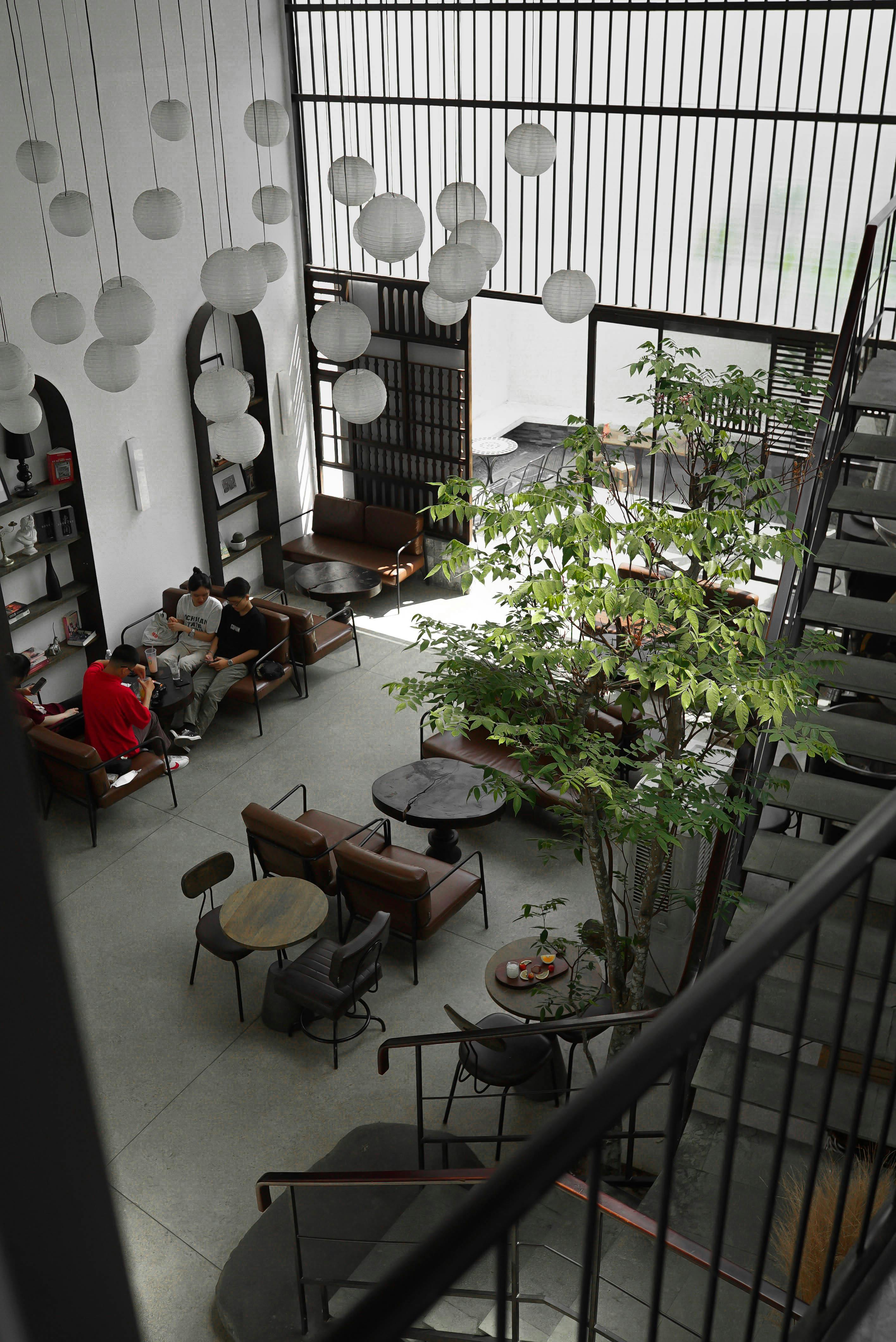 People Sitting in Room with Plant and Lamps · Free Stock Photo