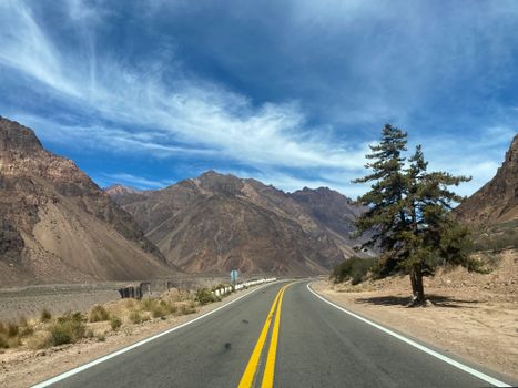 Mendoza, Argentina photo 12