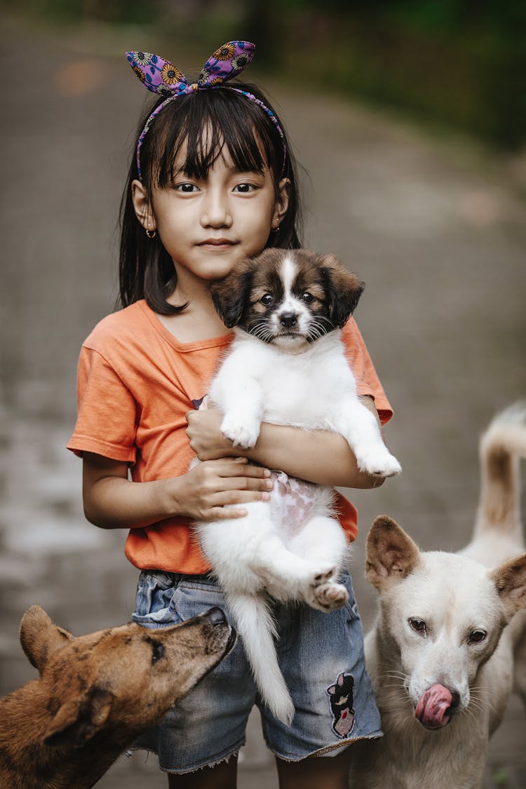 Little Girl Holding A Puppy 