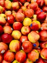 Close Up Photo of Apples