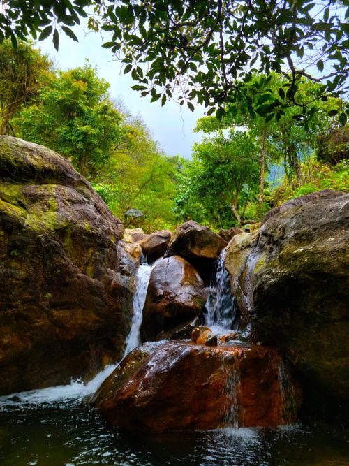 Free Lush forest waterfall cascading over rocks in Hong Kong, showcasing vibrant greenery and natural tranquility. Stock Photo