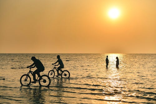 Silhouette of People Standing and Riding Bicycle on Beach During Sunset