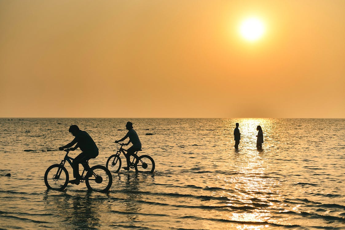 Silhouette of People Standing and Riding Bicycle on Beach During Sunset