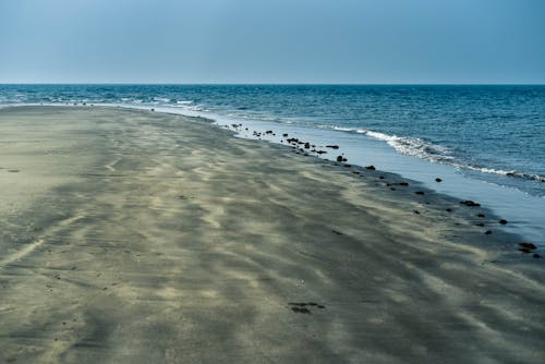 Photo of a Shore