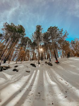 Winter scene of sun shining through trees on a snowy landscape in Muğla, Türkiye.