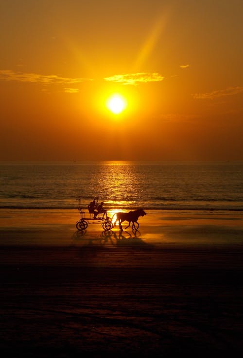 Silhouette of People Riding Horse Carriage on Beach during Sunset