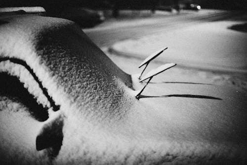 Fotobanka s bezplatnými fotkami na tému auto, chladný, čiernobiely