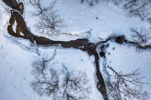 
Aerial Footage of Bare Trees on a Snow Covered Ground