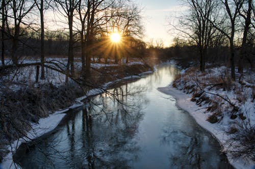 Stream between Leafless Trees on Snow Covered Ground