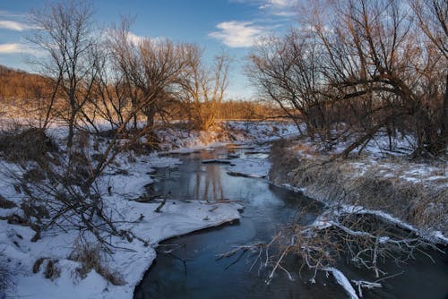 A River Between Leafless Trees on a Snow Covered Ground