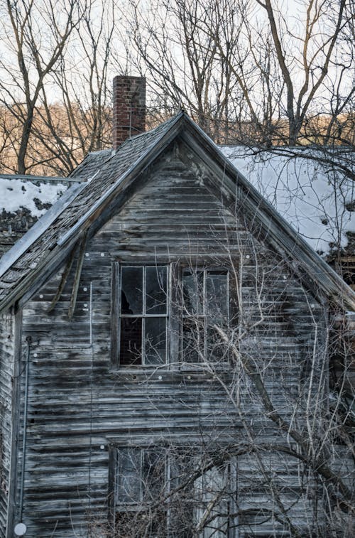 목조 주택, 벌거 벗은 나무, 수직 쐈어의 무료 스톡 사진