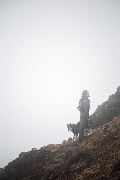 Free Man in Blue Jacket Standing on Brown Rock Mountain With Black Dog Stock Photo