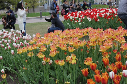 Darmowe zdjęcie z galerii z park na dużym wzgórzu