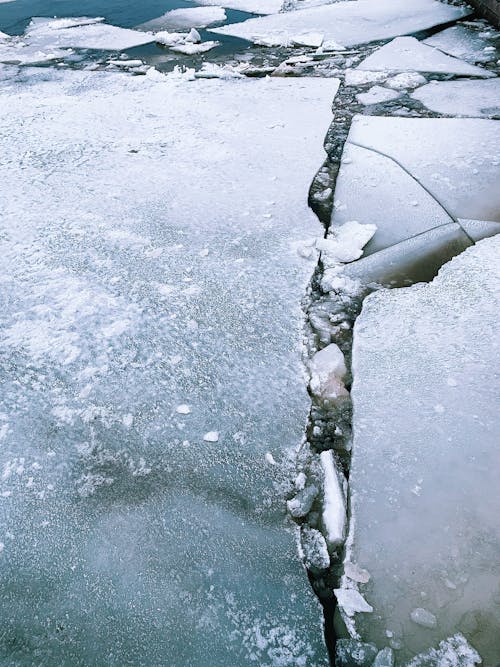 冰, 凍結的, 愚蠢的 的 免費圖庫相片