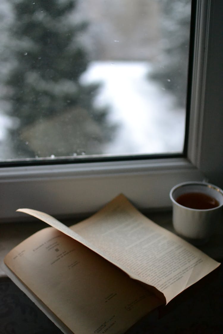 Opened Book By The Window 