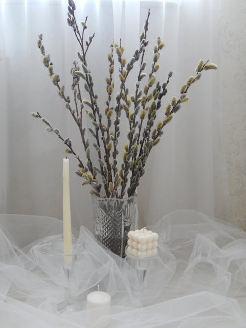Plant in Vase and Wax Candles near