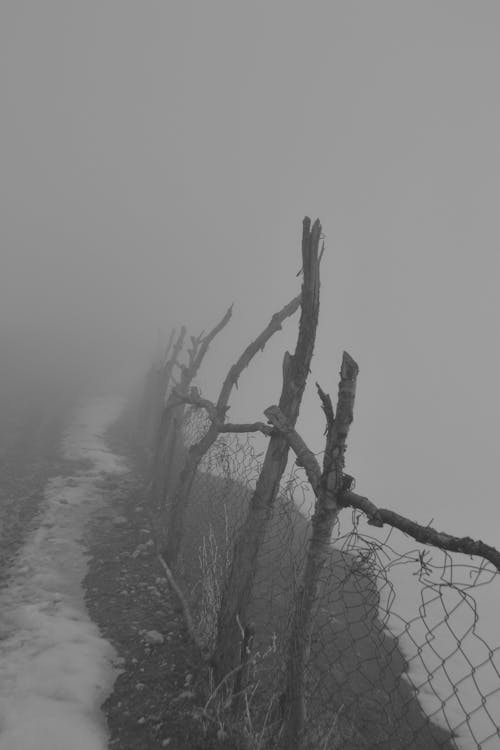 köy, sis içeren Ücretsiz stok fotoğraf