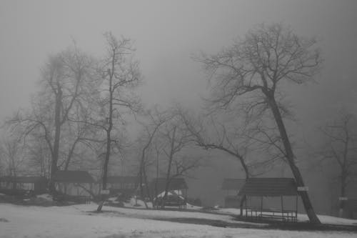 Darmowe zdjęcie z galerii z mgła, wioska