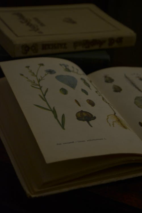 Безкоштовне стокове фото на тему «книги, темні академічні кола»