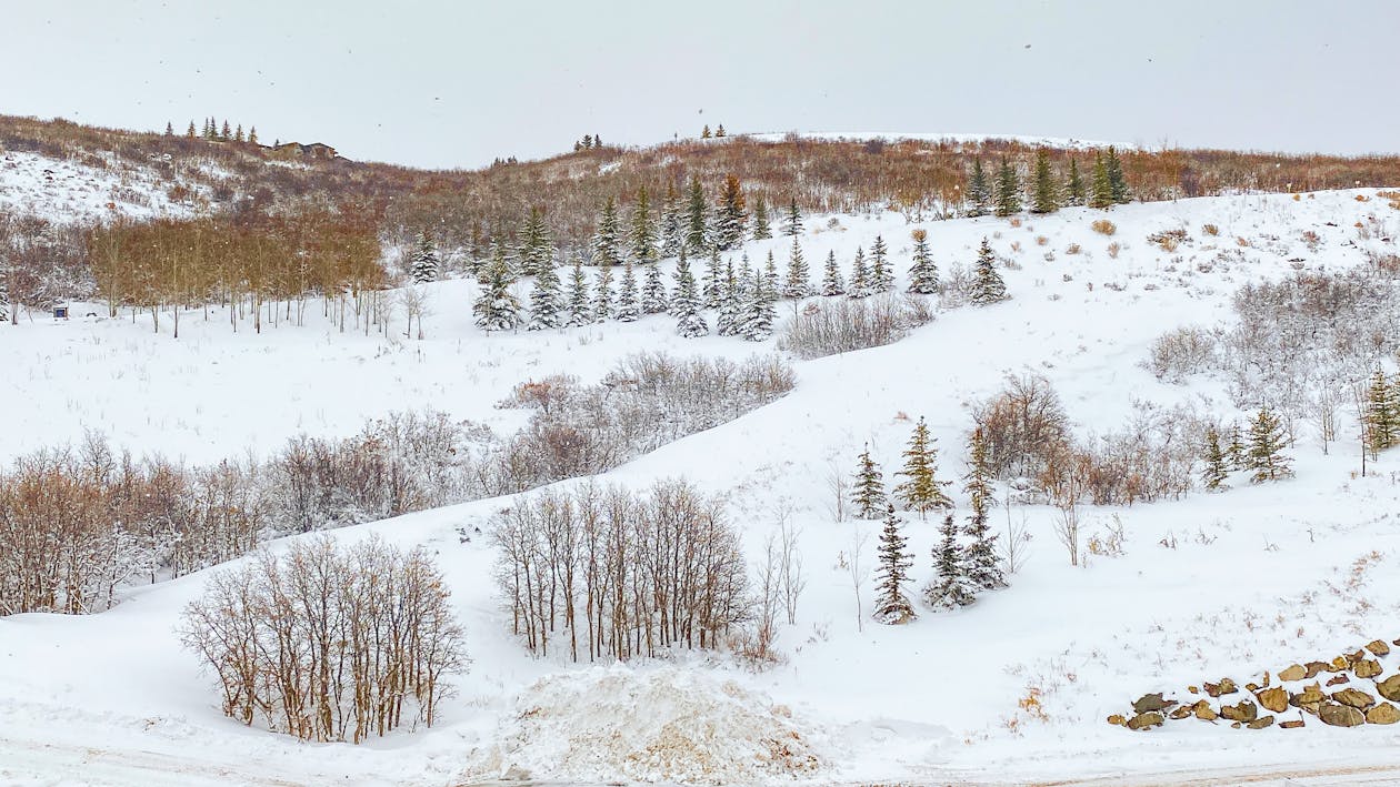 Photos gratuites de montagne au sommet enneigé, montagnes, neige