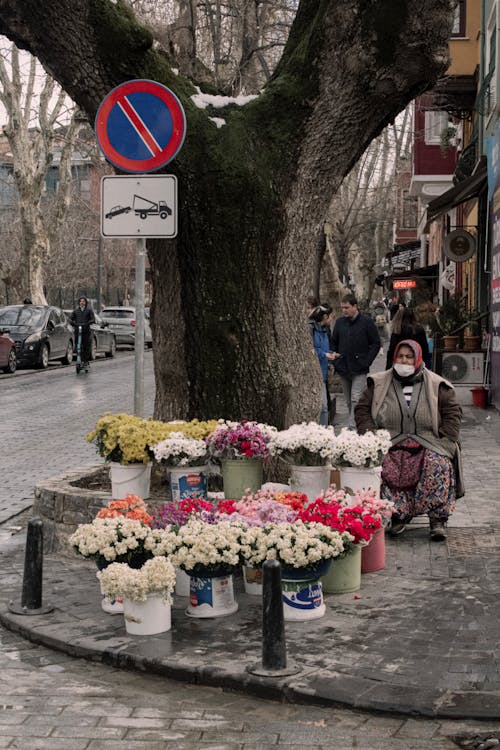 Безкоштовне стокове фото на тему «Вулична фотографія, вуличний торговець, дерево»