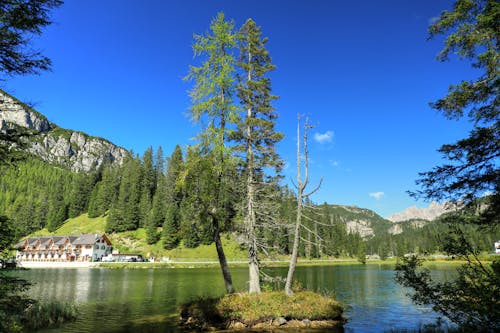 Бесплатное стоковое фото с голубое небо, горы, деревья