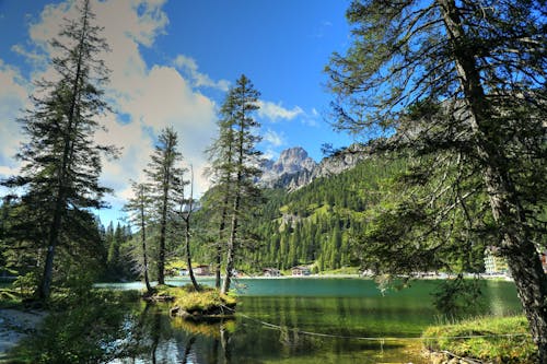 A Lake Between Green Trees on Mountain Under the Blue Sky