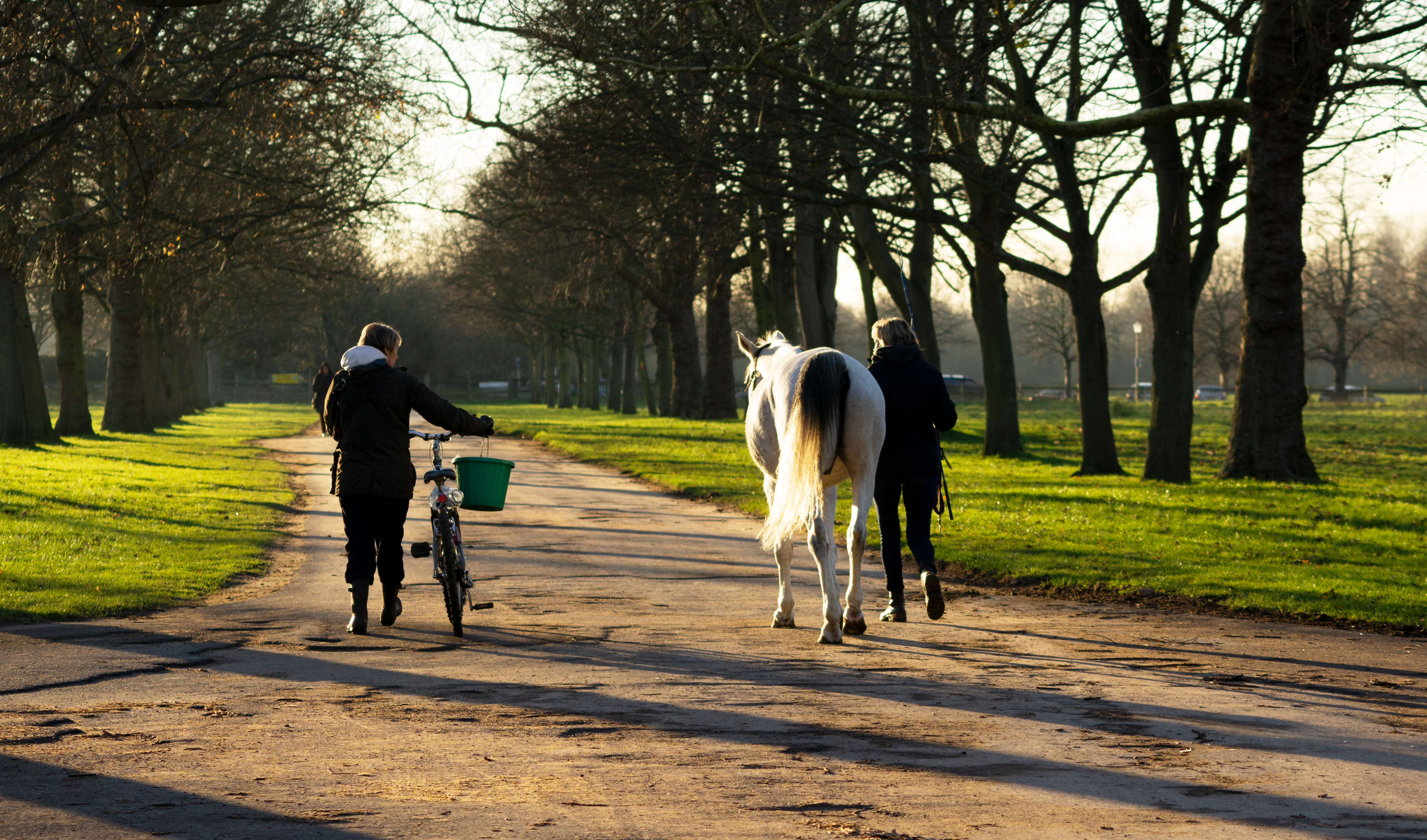 general lifestyle — Photo by JR Bradbury on Pexels