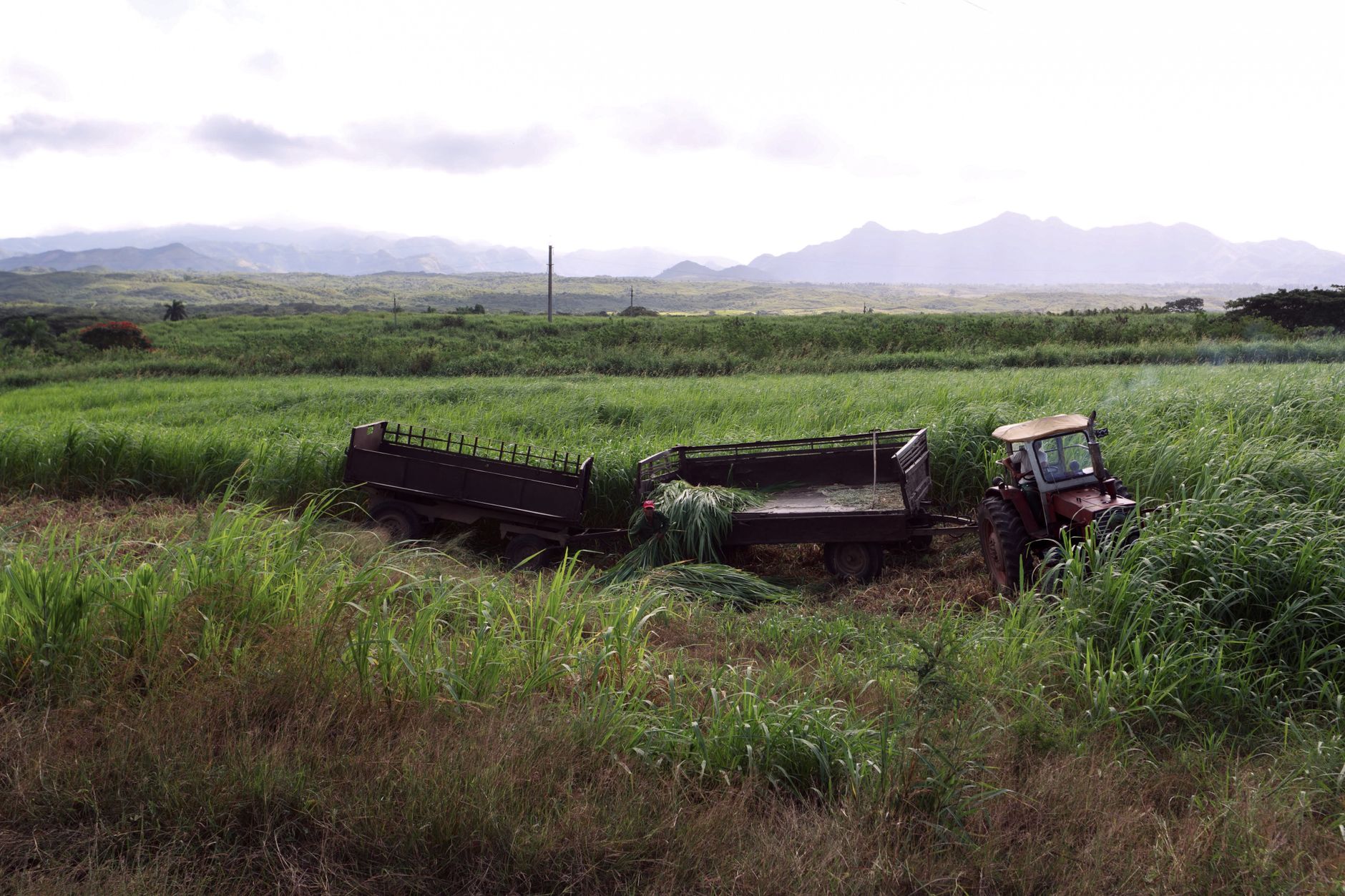 Photo by Mehmet Turgut Kirkgoz A tractor and trailer in a lush, green field with distant mountains under a cloudy sky.