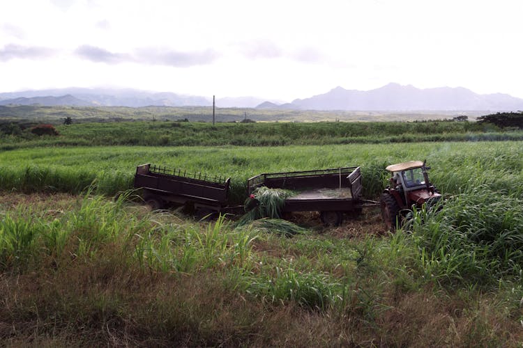 Tractor With Trailers On A Grass Field