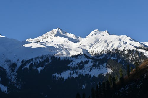 An Aerial Photography of a Trees on a Snow Covered Mountain Under the Blue Sky