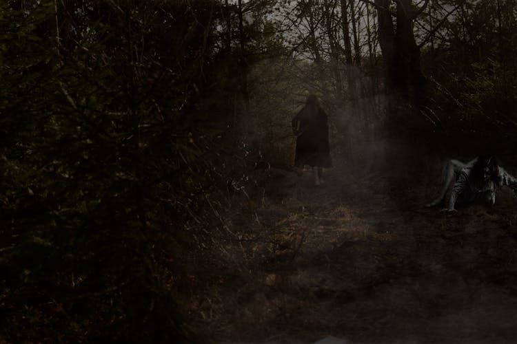 Woman In Coat Walking In Forest