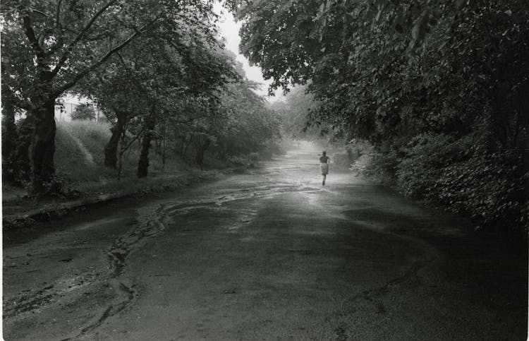 Woman Running On Road Under Trees