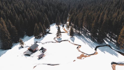 Free Drone Shot of a House Near a Forest Stock Photo