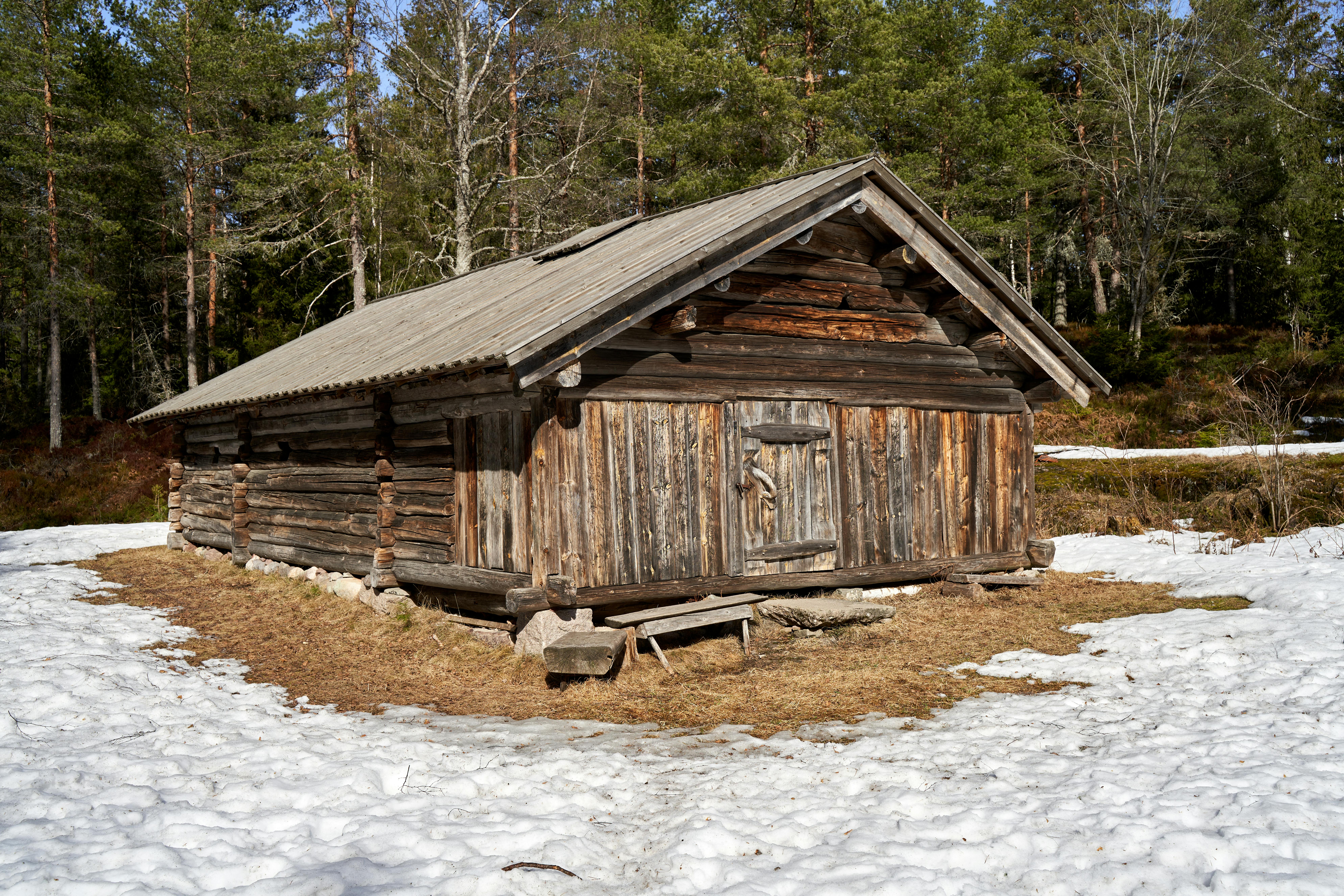 Wallenstam AB stock (SE0017780137): Swedish property player navigates rental market shift — Photo by Barnabas Davoti on Pexel
