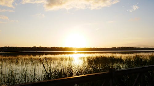 Foto profissional grátis de lago, pôr do sol