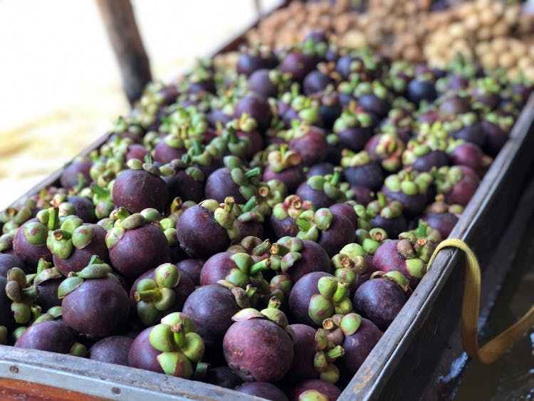 Photo Of Mangosteen Fruits