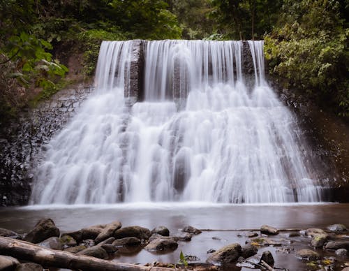 Waterfalls Farm El Naranjo Guatemala