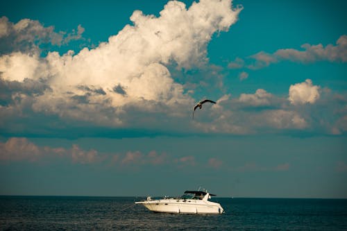White Yacht on Sea Under Blue Sky and White Clouds