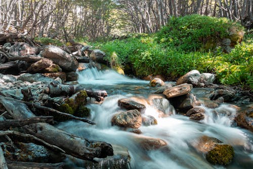 A Rocky River Flowing Near the Green Grass