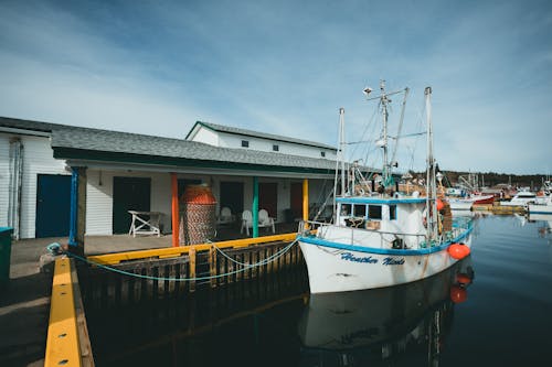 Kostnadsfri bild av båtar, dockad, fiskebåt