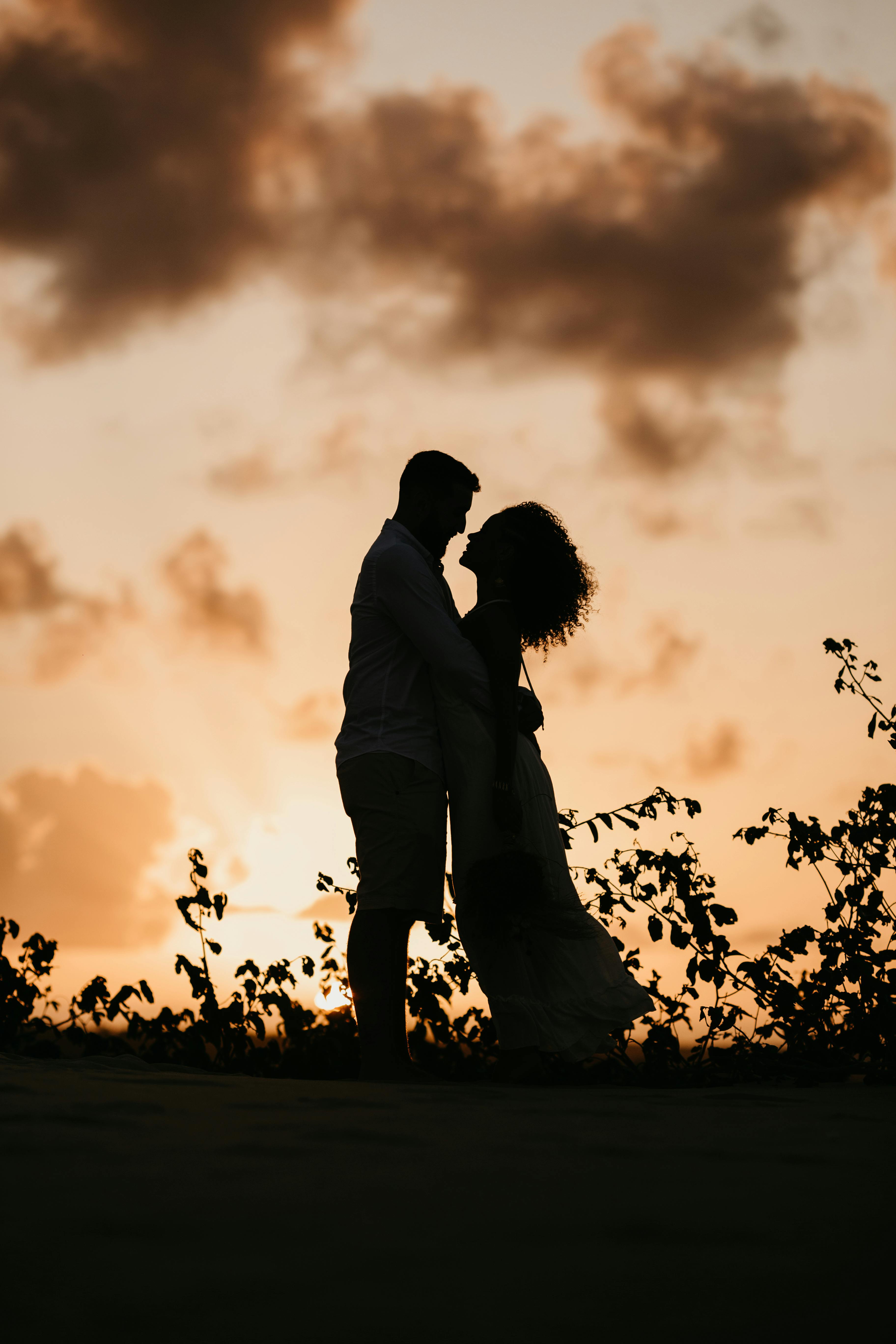 Silhouette of an Intimate Couple · Free Stock Photo