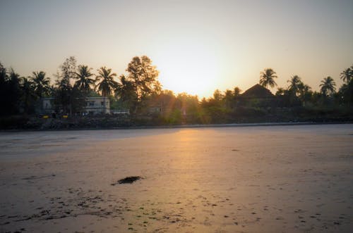 Free stock photo of beach, dawn, hot