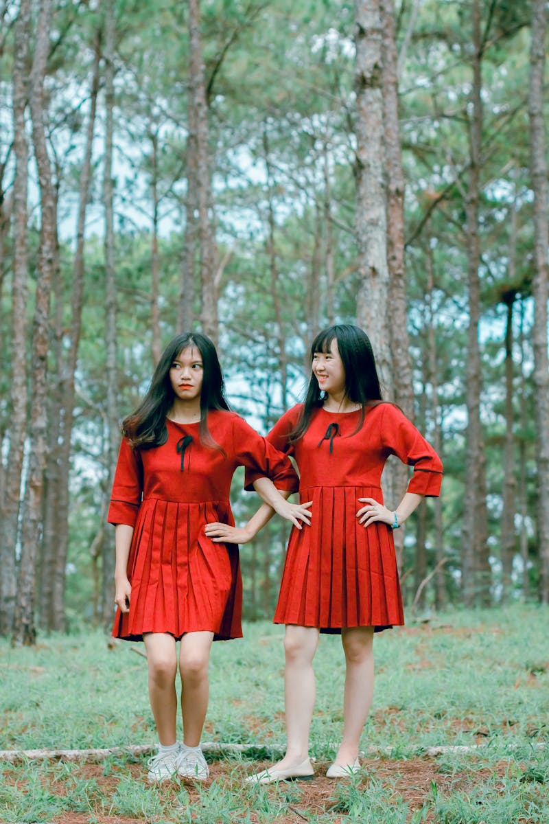 Composition de table