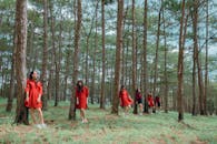 阳光明媚的日子里，一位穿着红色连衣裙的妇女在宁静的林地中，于高大的树木间摆姿势