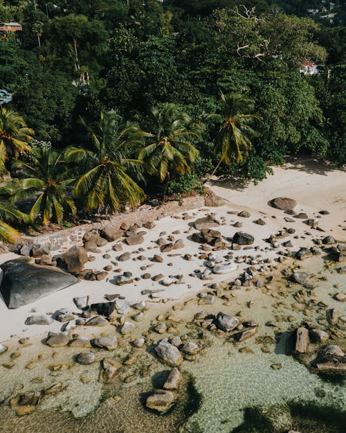 Photos gratuites de cailloux, côte, les seychelles