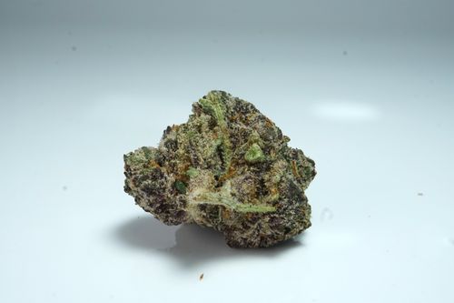 Free Gustavo Stock Photo