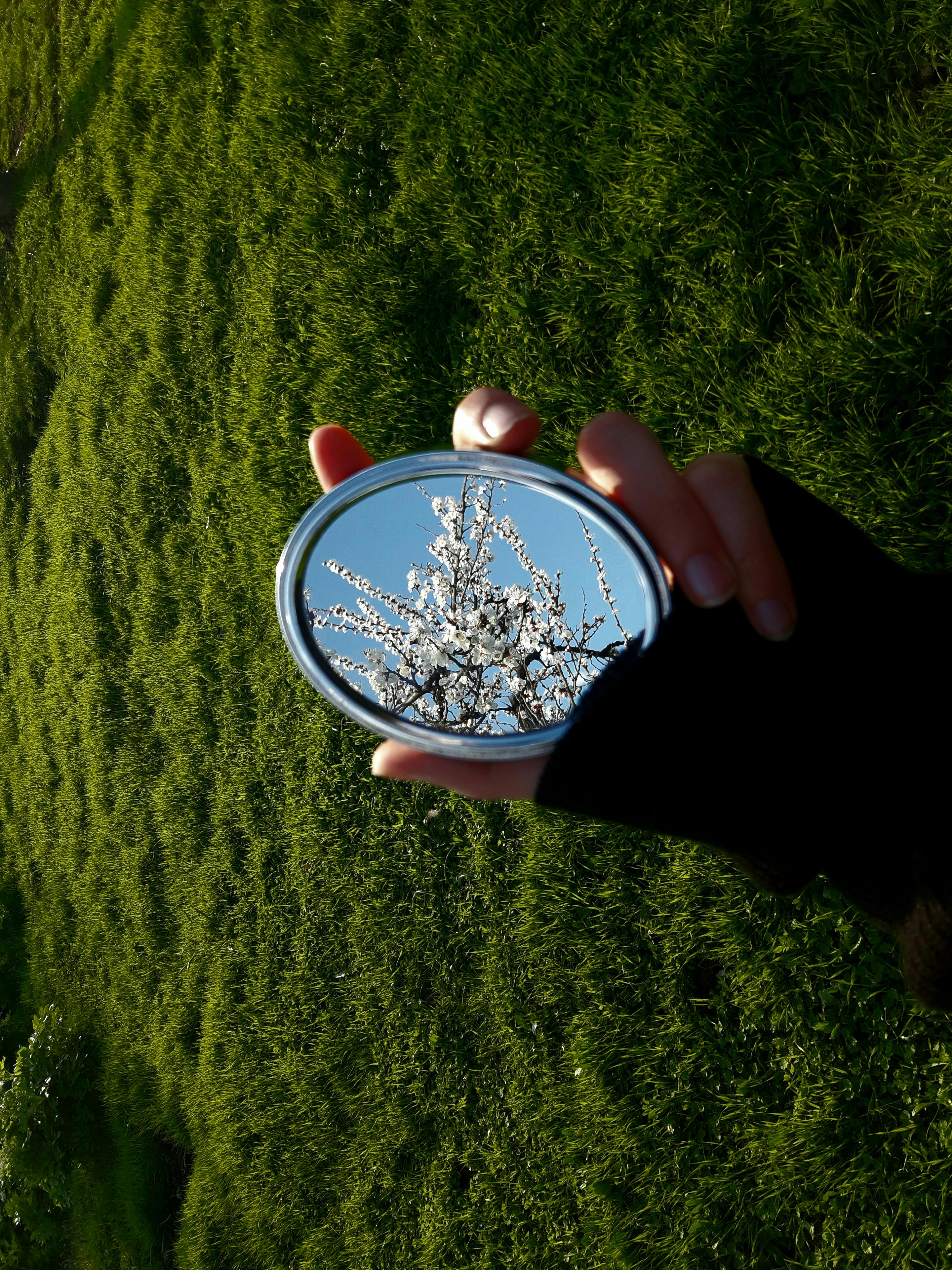 A hand holds a mirror reflecting beautiful blooming flowers against a grassy backdrop.